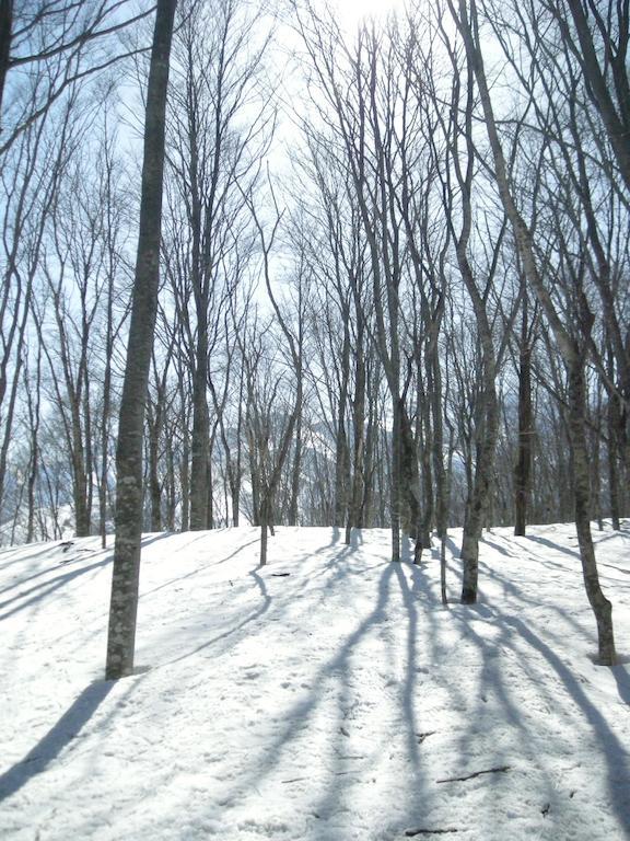 Villa Komakusa Hakuba Esterno foto